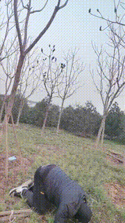 【嘟嘟】户外骑马调教 bf23523