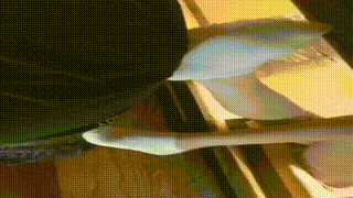 【VIVI 】晚餐洗礼